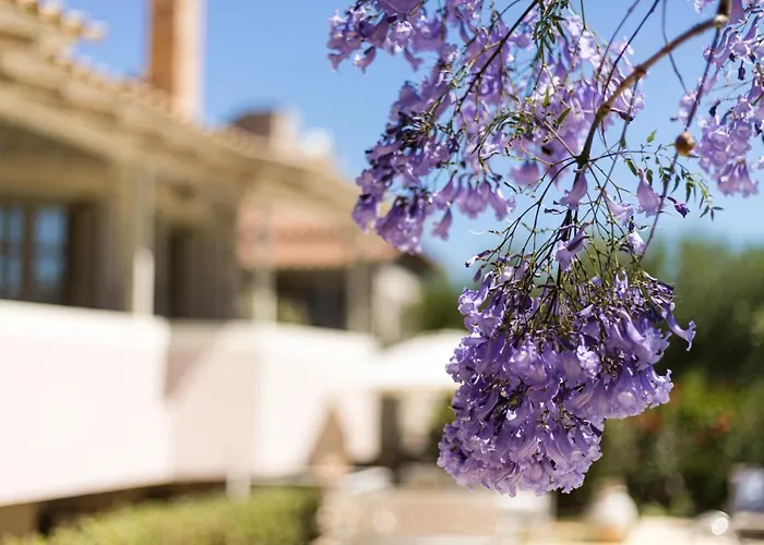 Tria Luxury Residences *