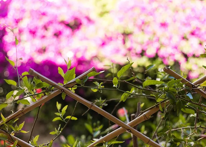 Vakantiehuis Tria Luxury Residences